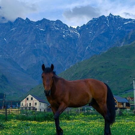 Savalley Kazbegi Ngoại thất bức ảnh